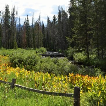 Colorado Summer Family Fun