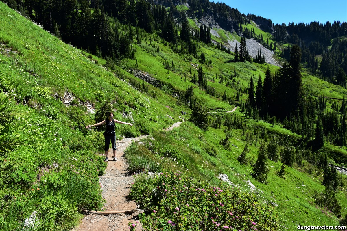 Skyline Trail Loop in Mount Rainier National Park