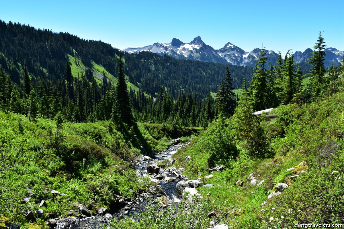 Mount Rainier National Park mountain with a stream landscape. 
