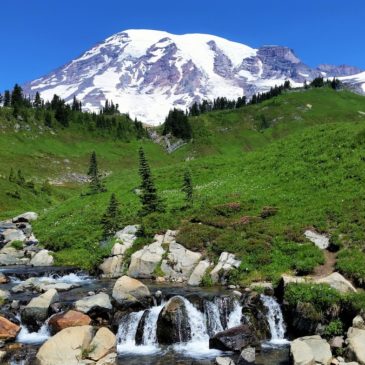 The Outstanding Skyline Trail in Mount Rainier National Park