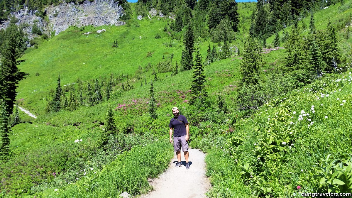 Wildflowers in Mount Rainier National Park