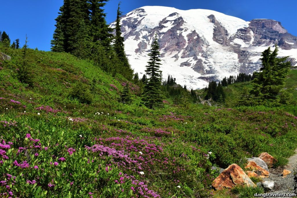 Mount Rainier National Park