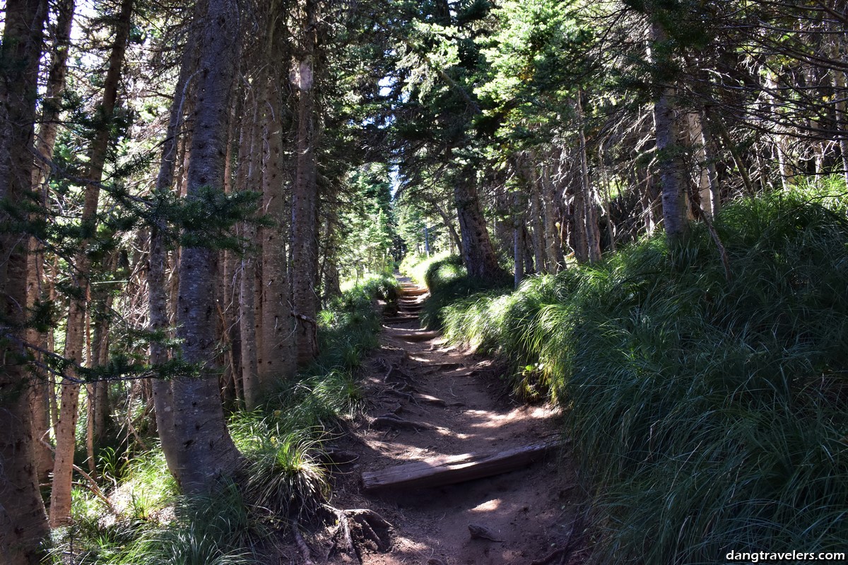 Mount Rainier National Park