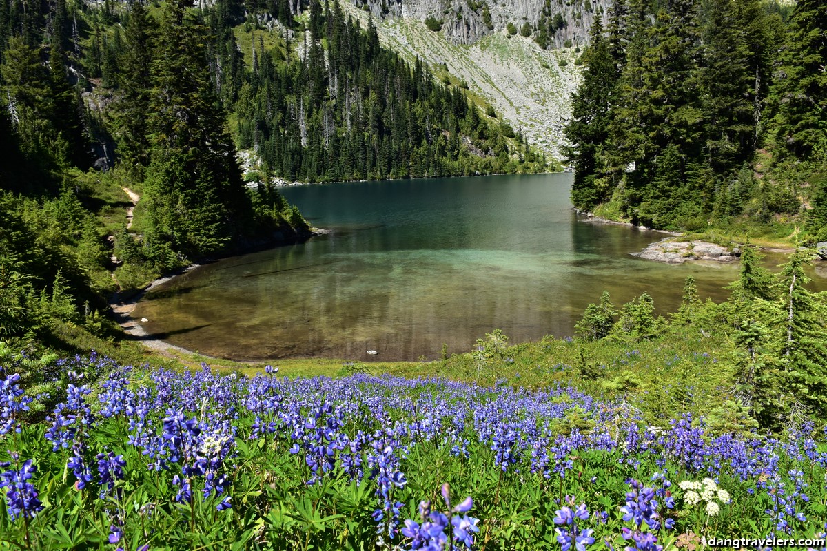 Mount Rainier National Park