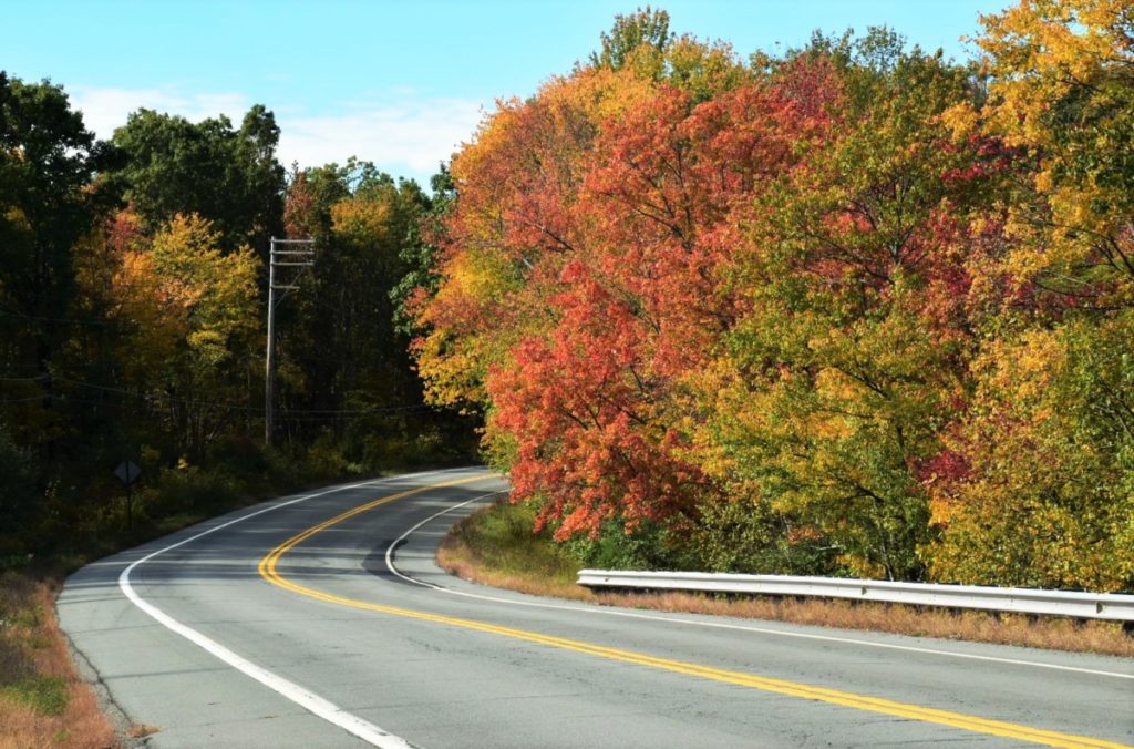 Scenic Road in Pocono Mountains