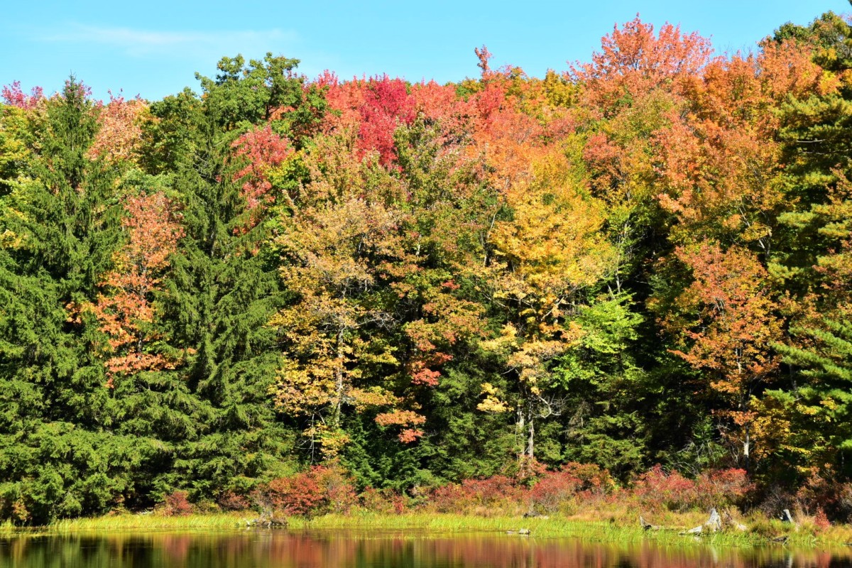 Promised Land State Park is just one of the places to visit for fall foliage peak in Pennsylvania.