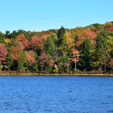 How to Find Fall Foliage in the Poconos