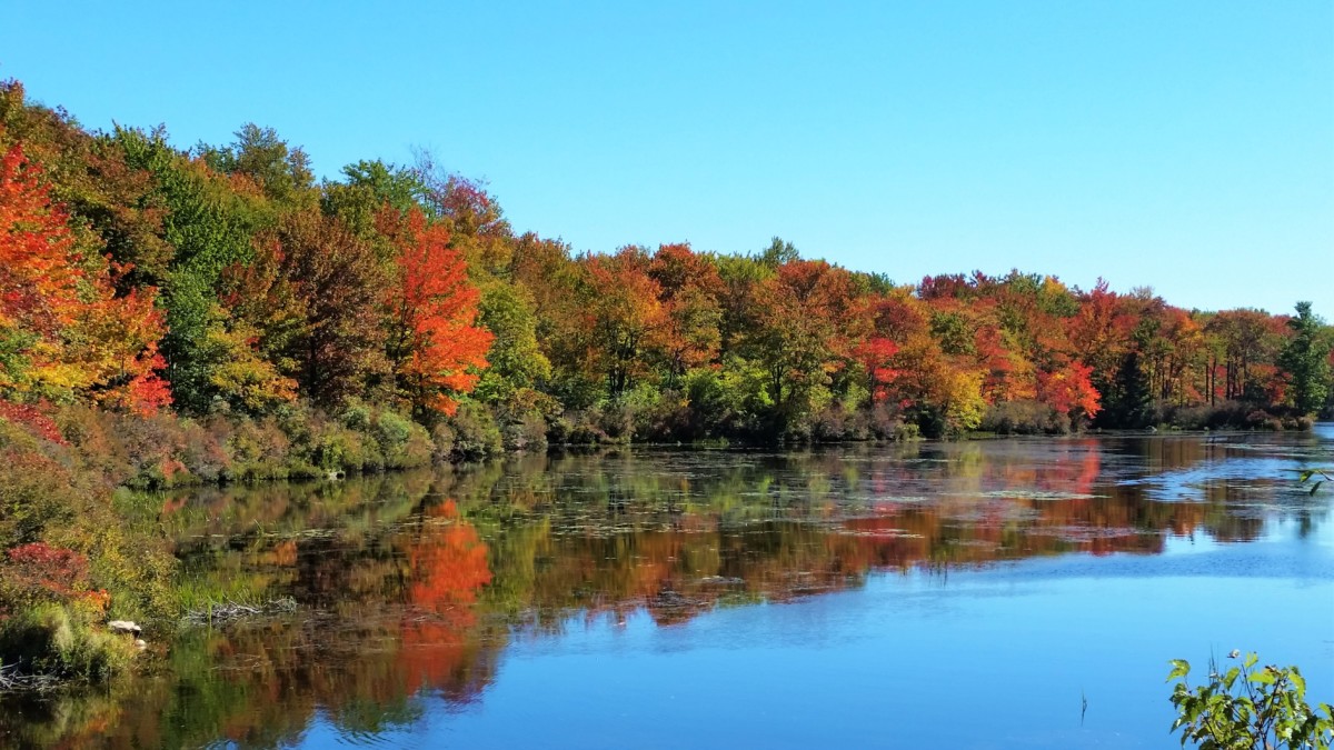 How to Find the Most Beautiful Fall Foliage in the Poconos Dang Travelers