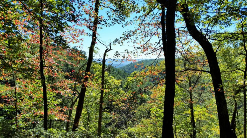 Bushkill Falls, one of the best things to do in Poconos in summer or fall!