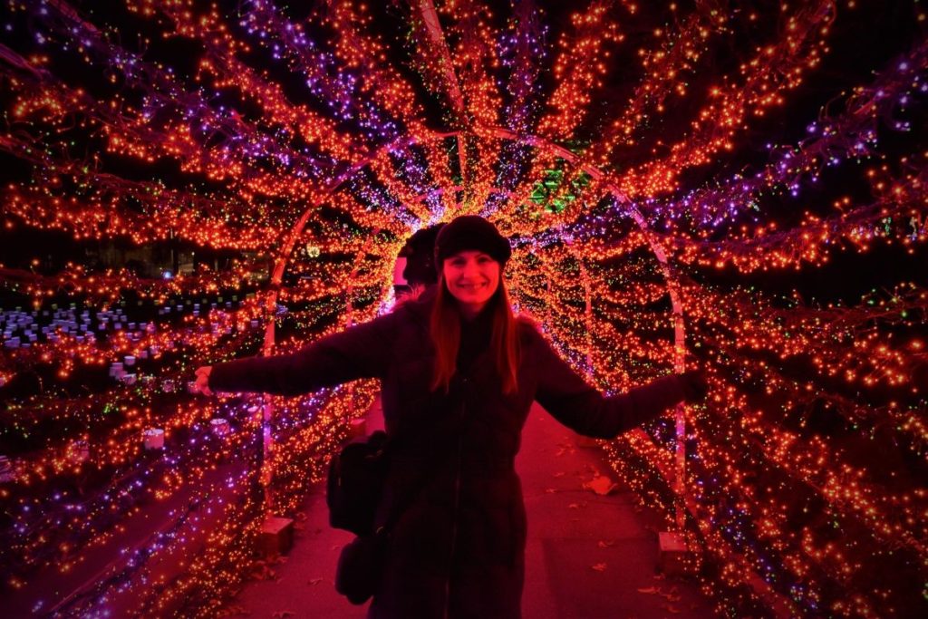 Garden Glow St Louis - One of the top things to do in Missouri during the holidays.