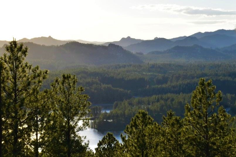 Let us convince you to visit Custer State Park: remarkable beauty, thrilling animal encounters, lake fun, cool lodging, and incredible scenic drives.