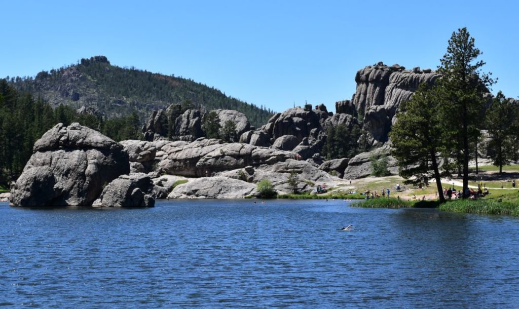 Let us convince you to visit Custer State Park: remarkable beauty, thrilling animal encounters, lake fun, cool lodging, and incredible scenic drives.