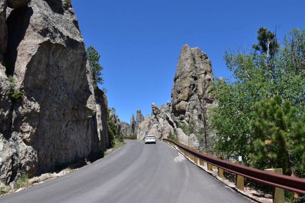 Let us convince you to visit Custer State Park: remarkable beauty, thrilling animal encounters, lake fun, cool lodging, and incredible scenic drives.