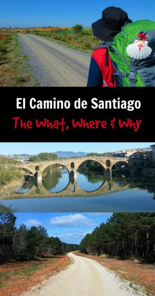 El Camino de Santiago