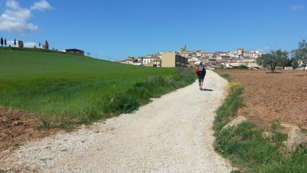 El Camino de Santiago