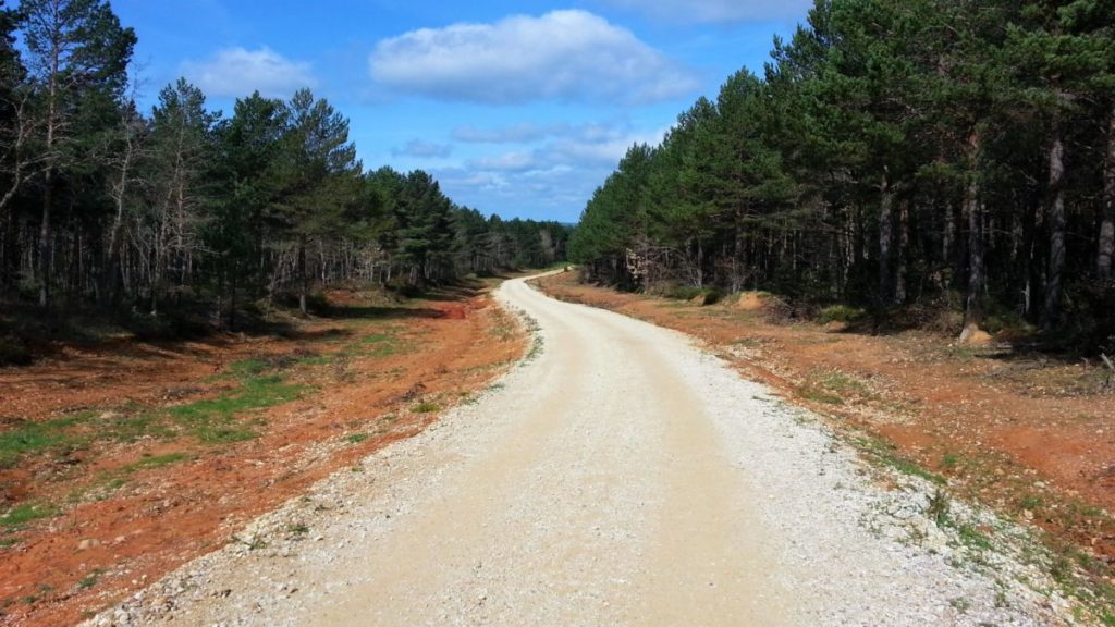 El Camino de Santiago