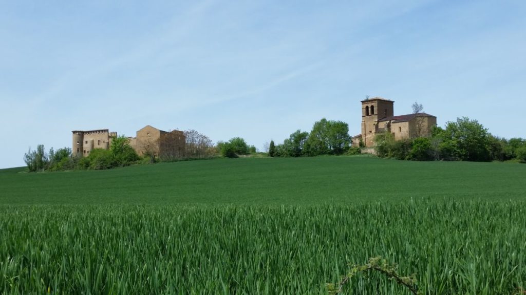 Camino Frances Pamplona Cirauqui