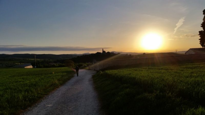 Camino Frances Torres del Rio