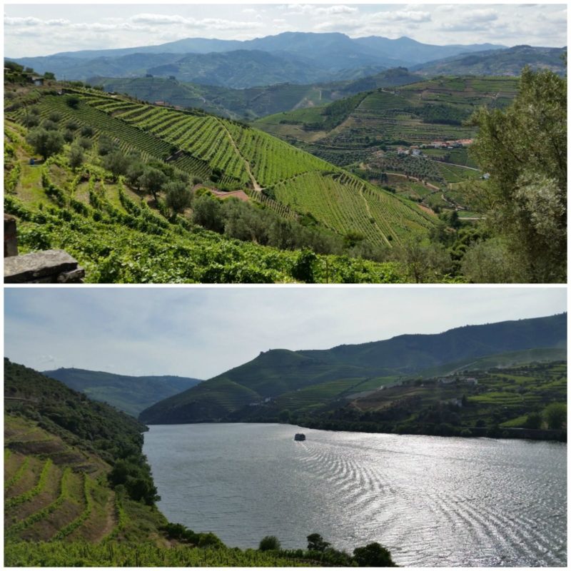 The Stunning Douro Valley, Top 10 Portugal Scenic Drives.