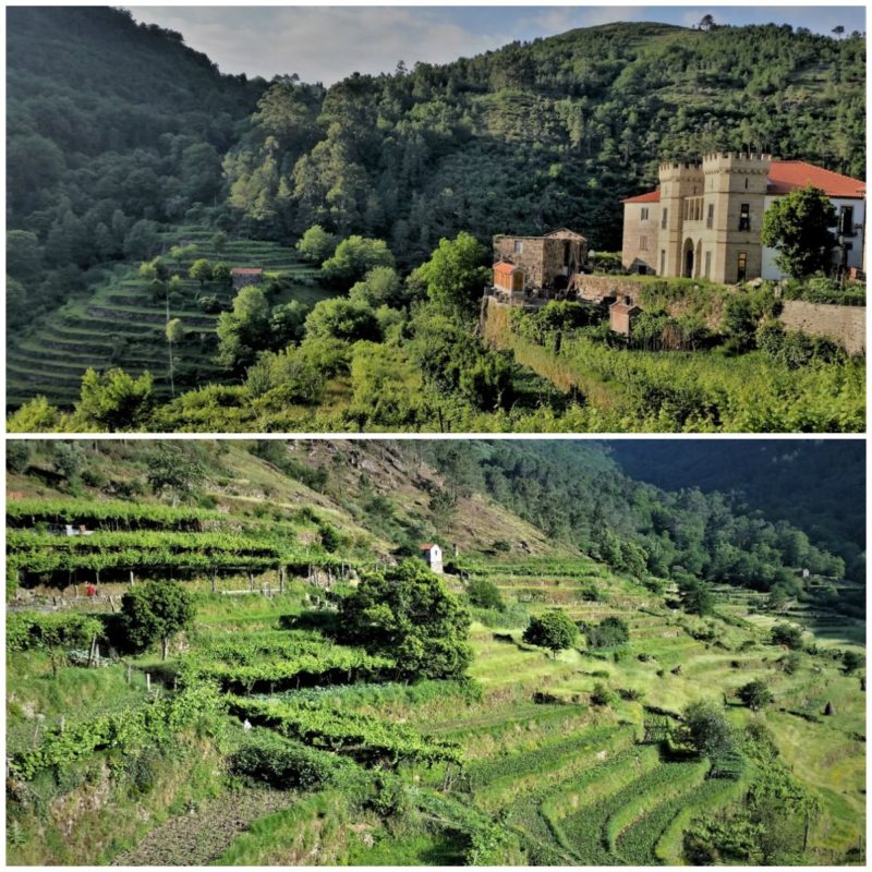 The Terraces of Sistelo Village is one of the unique things to do in Portugal.