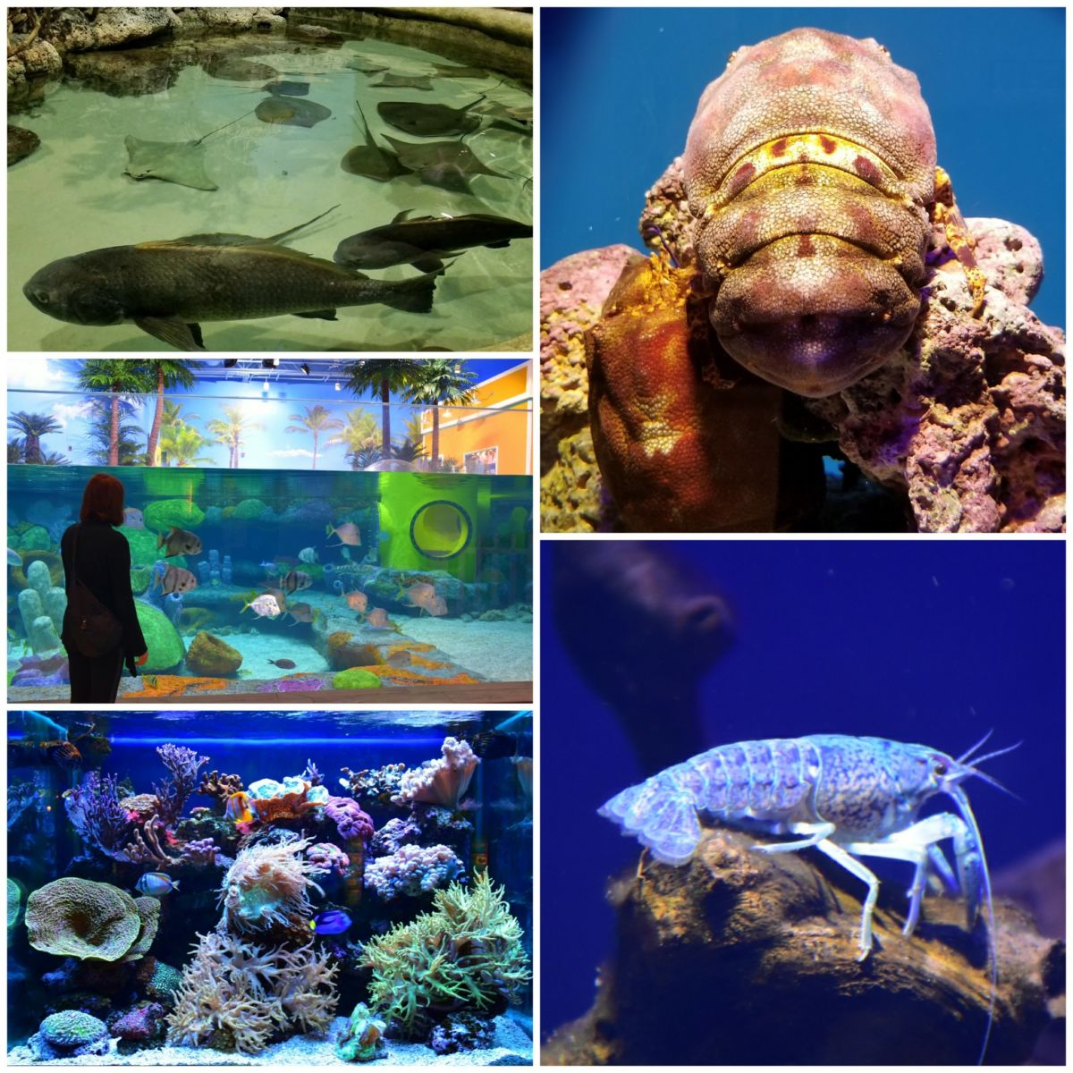 8 Reasons to Visit Tulsa, Oklahoma Dang Travelers