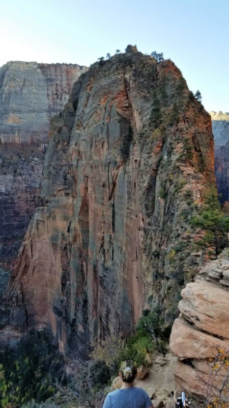 Trying to decide whether or not to hike Angels Landing in Zion National Park? Here's my experience and the ultimate guide on all you need to know about the hike.