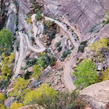 Everything You Need to Know about Angels Landing Hike in Zion National Park