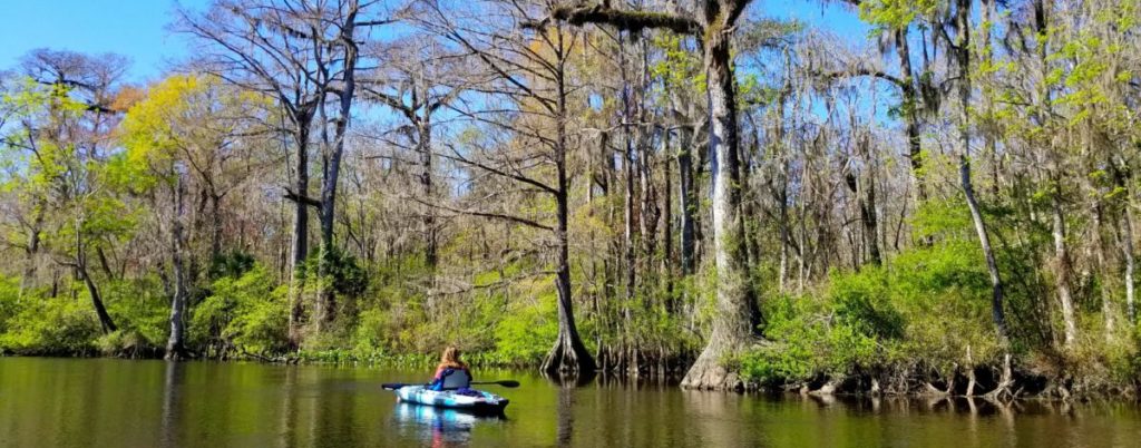 Kayaking Tallahassee: Fall in love with a city that offers all the conveniences and culture of a big city but the nuances and charisma of a small town. All the best Tallahassee things to do to show you why you should visit.
