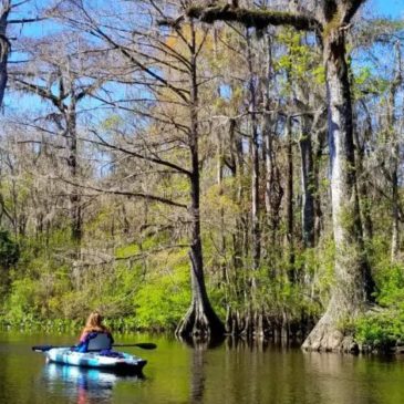 Top Things to Do in Tallahassee for a Memorable Trip