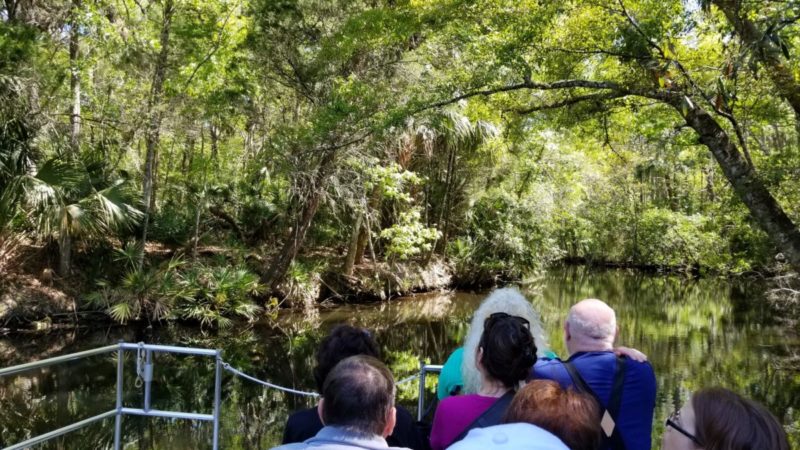 Homosassa Springs Wildlife State Park is located in Citrus County and is known fondly as Florida's nature coast. Here you are guaranteed to see manatees, the gentle giants of the sea, and other native wild animals such as black bears and bobcats in their natural habitat.