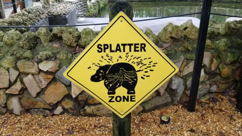 Homosassa Springs Wildlife State Park is located in Citrus County and is known fondly as Florida's nature coast. Here you are guaranteed to see manatees, the gentle giants of the sea, and other native wild animals such as black bears and bobcats in their natural habitat.