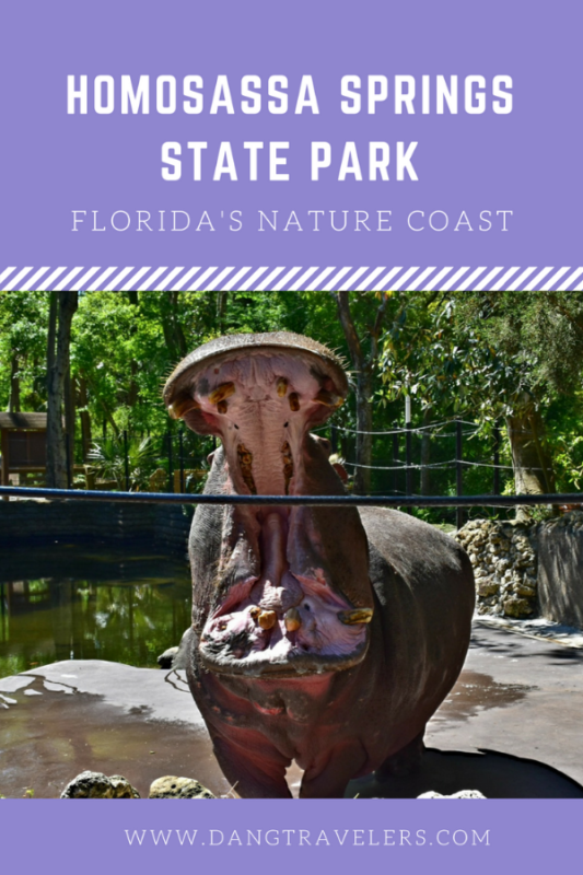Up close and personal with Lu the hippo at Homosassa Springs State Park. A jewel found on Florida's nature coast.