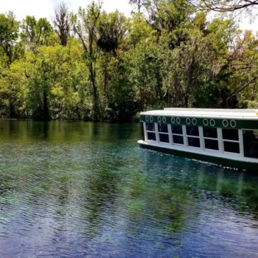 Silver Springs State Park: Wild Monkeys and Glass Bottom Boat Tours