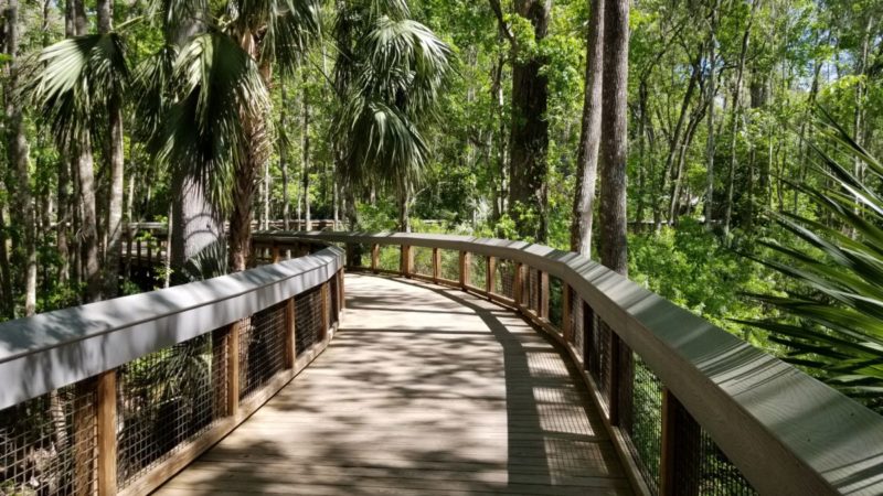 Silver Springs State Park is Florida's oldest tourist attraction. Come with us as we go back in time while we explore the springs today. Did someone say wild monkeys and glass bottom boats?