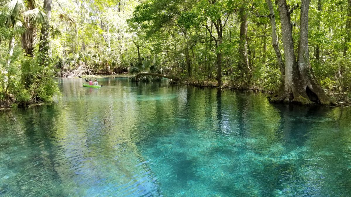 Silver Springs State Park Cabins