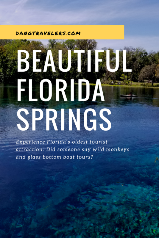 Silver Springs State Park is a hidden gem! Add it to your #Florida bucket list to #kayak in crystal clear water, see wild monkeys, or take a tour on a glass bottom boat.