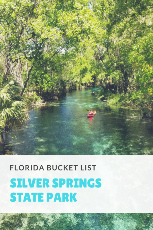 If you're looking for unforgettable things to do in Florida then Silver Springs State Park is the place. It is not only Florida's oldest tourist attraction, but home to wild monkeys, glass bottom boats and crystal clear waters! #kayaking #florida #springs #roadtrip