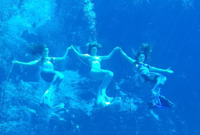 Weeki Wachee mermaids in Florida. 