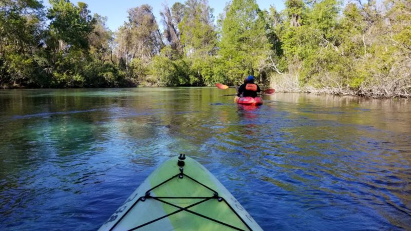 Weeki Wachee kayaking with manatees through enchanting spring water then seeing a mermaid show. A spectacular Florida day to remember!