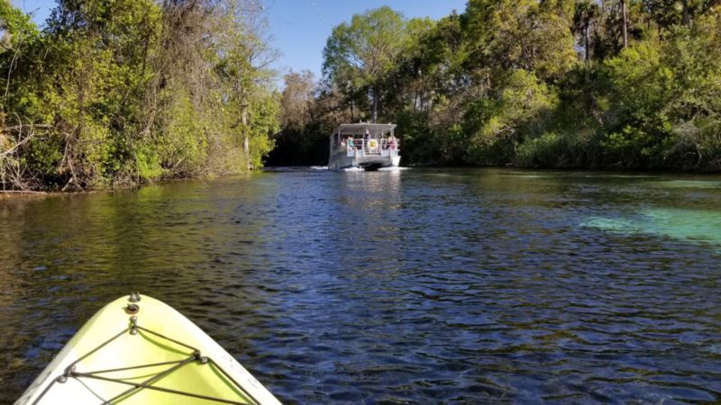Kayaking on Weeki Wachee River in Florida.