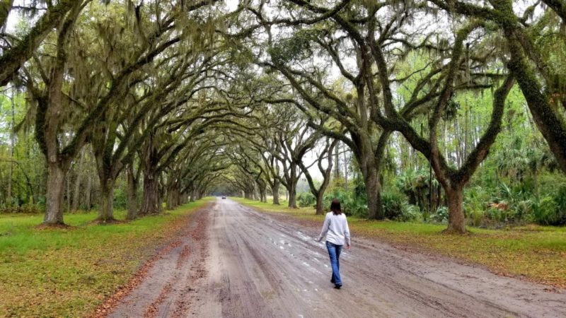 One of America's oldest cities, Savannah tops the list as a favorite for many. To make your first visit memorable, we've put together a list of 20 Savannah things to do!