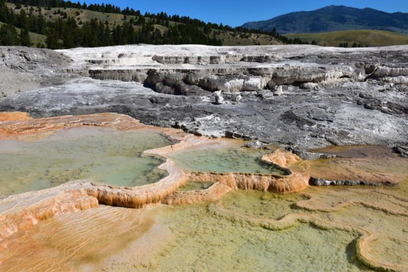 Top things to see in Yellowstone Park include Mammoth Springs Terraces in the Northwest Section. 