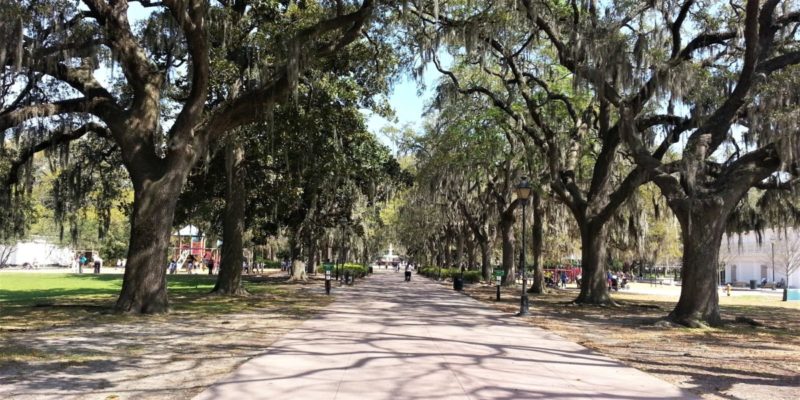 One of America's oldest cities, Savannah tops the list as a favorite for many. To make your first visit memorable, we've put together a list of 20 Savannah things to do!