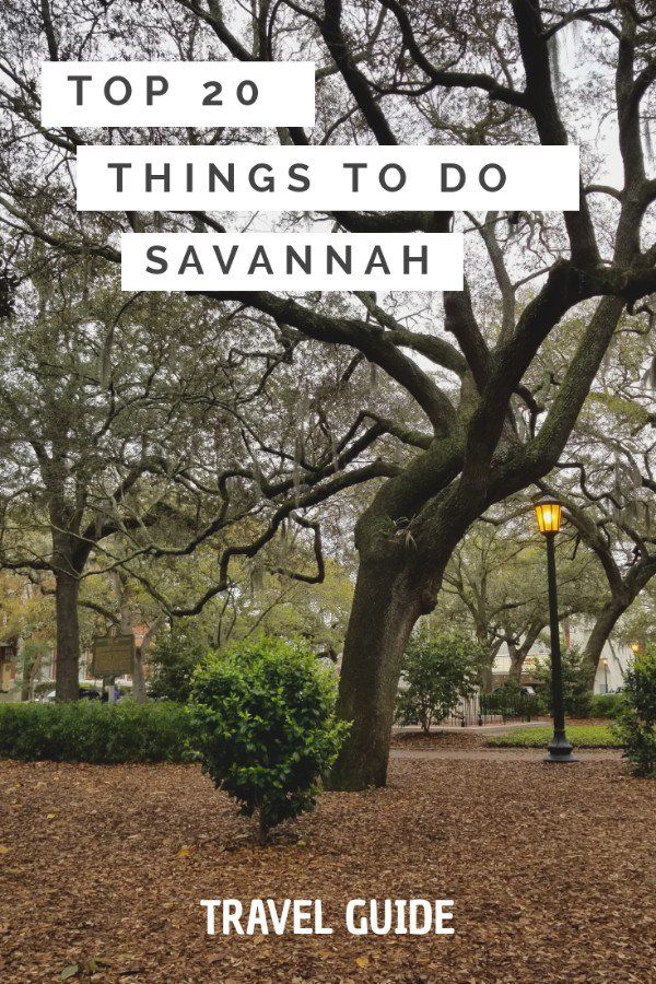 One of America's oldest cities, Savannah tops the list as a favorite for many. To make your first visit memorable, we've put together a list of 20 Savannah things to do!