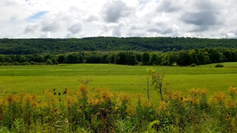 Here's the ultimate guide for your Letchworth State Park day trip in upstate New York. Read about the best entrance and overlooks for your visit.