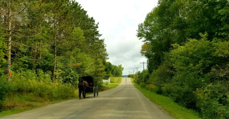 Here's the ultimate guide for your Letchworth State Park day trip in upstate New York. Read about the best entrance and overlooks for your visit.