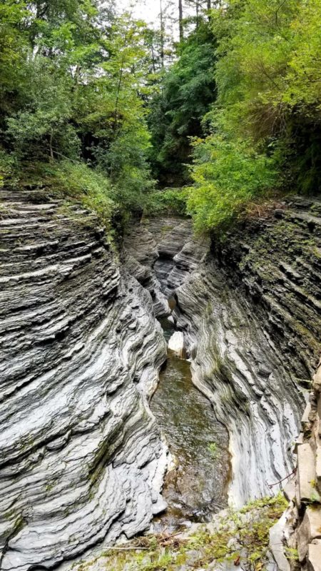 A must-visit in the Finger Lakes Region in New York is the Watkins Glen State park.