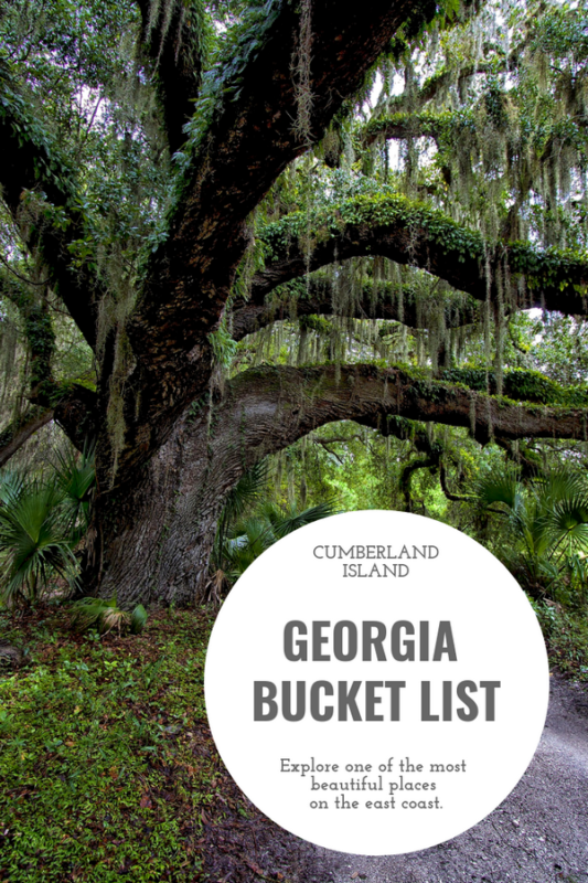 Everything you need to know for a visit to Cumberland Island, a bucket list item on the east coast. Georgia's Sea Islands are one of the most beautiful places in the United States.