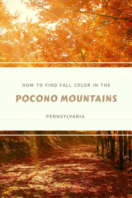 Looking for amazing fall color in Pennsylvania? Follow this guide to autumn fall foliage in the Pocono Mountains. #poconos #pennsylvania #fallcolor #fallfoliage