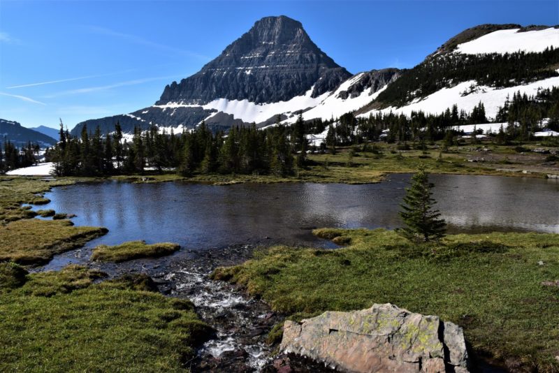 Plan your vacation with this ultimate 5 day Glacier National Park itinerary of the best things to see and do. Plus tips for the first-time visitor!